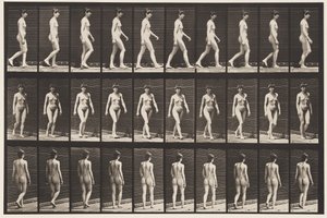 Plaka 16. Yürüyüş, 1872-1885 by Eadweard Muybridge