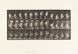 Levha 172. Sehpaya Basmak; Aşağı Atlamak, Dönmek, 1885 by Eadweard Muybridge