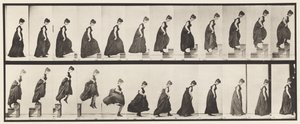 Levha 173. Yükselen Basamaklar ve Atlama, 1885 by Eadweard Muybridge