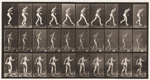 Levha 176. Basamak Taşları Üzerinden Dereyi Olta ve Sepetle Geçiş by Eadweard Muybridge