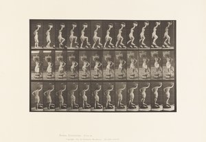 Levha 179. Bir Kayanın Üstüne Basmak, Kafada Bir Sepet by Eadweard Muybridge