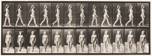 Plaka 17. Yürüyüş, 1872-1885 by Eadweard Muybridge