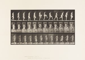 Plaka 181. Bir Çitin Üzerinden Basmak by Eadweard Muybridge