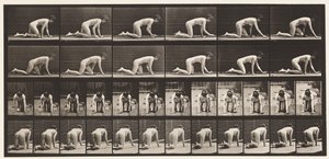 Levha 182. Eller ve Dizler Üzerinde Emekleme by Eadweard Muybridge
