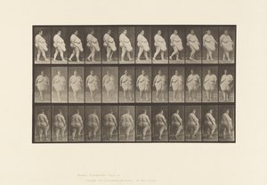 Plaka 19. Yürüyüş, Dönmeye Başlama by Eadweard Muybridge