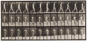 Plaka 1. Yürüyüş by Eadweard Muybridge