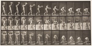 Levha 201. 12 librelik Sepeti Baştan Almak, Yere Koymak, 1872-1885 by Eadweard Muybridge