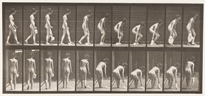 Levha 202. Mendil Bırakma ve Kaldırma by Eadweard Muybridge