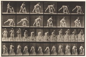 Levha 203. Su Kavanozu Olan Bir Sehpanın Üzerinde Eğilme by Eadweard Muybridge