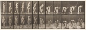 Plaka 204. Topu Almak İçin Durmak by Eadweard Muybridge