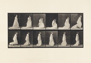 Plaka 207. Durdurma ve Kaldırma Treni, 1885 by Eadweard Muybridge