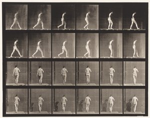 Plaka 20. Yürüme, Sağ Dirsek Bükülmüş by Eadweard Muybridge