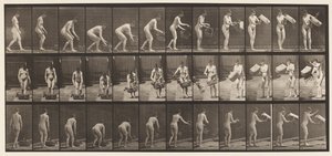 Plaka 213. Kaldırma ve Boşaltma Sepeti by Eadweard Muybridge