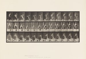 Levha 217. Durma, Kaldırma ve Taşıma 30 lb Sepet, 1885 by Eadweard Muybridge