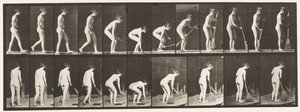 Levha 219. Eğilip Kaldırma Süpürgesi ve Süpürme by Eadweard Muybridge