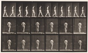 Plaka 21. Yürüme, Her İki Dirsek Bükülmüş by Eadweard Muybridge