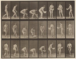 Levha 223. Havzayı Eğip Kaldırmak, Silmek ve Çevirmek, 1872-1885 by Eadweard Muybridge