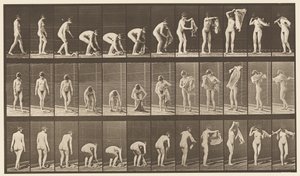 Levha 227. Yerden Kaldırma Bezi, 1872-1885 by Eadweard Muybridge