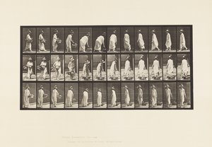 Plaka 229. Sepeti Yere Yerleştirme ve Çevirme by Eadweard Muybridge