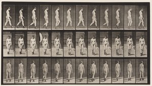 Plaka 22. Yürüyüş, Yüksek Topuklu Çizmelerle Yürüyüş, 1872-1885 by Eadweard Muybridge