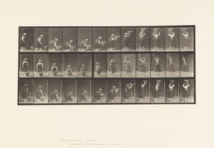 Plaka 230. 30 lb Sepeti Yerden Başa Kaldırma, Döndürme, 1885 by Eadweard Muybridge