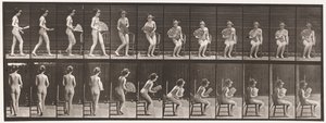 Plaka 237. Sandalyeye Oturan ve Açılan Vantilatör, 1872-1885 by Eadweard Muybridge
