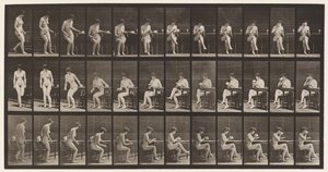 Tabak 238. Sandalyede Oturmak, Bacak bacak üstüne atmak, Çay Bardağından İçmek by Eadweard Muybridge