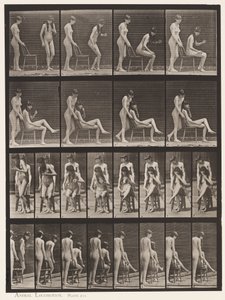 Plaka 239. Biri Ayakta, Diğeri Oturan, Çapraz Ayaklı İki Model by Eadweard Muybridge