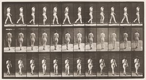 Plaka 23. Yürüyüş, Sağ El Çenede, Yüksek Topuklu Ayakkabı Üstte by Eadweard Muybridge