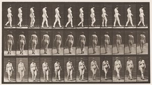 Plaka 24. Yüksek Topuklu Ayakkabılarla Yürüyüş by Eadweard Muybridge