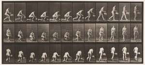 Levha 251. Sol Diz Üzerine Çömelme, Sol El Basket ve Yükselme, 1872-1885 by Eadweard Muybridge