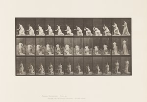 Levha 253. Sandalyede Diz Çöken Dirsekler, Eller Sıkıştırılmış, 1885 by Eadweard Muybridge