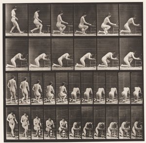 Levha 254. Diz Çökme, Dirsekler Sandalyede, Eller Kıvrılmış by Eadweard Muybridge