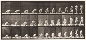 Plaka 255. Diz Çökmek ve Dönmekten Doğan by Eadweard Muybridge
