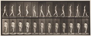Plaka 25. Yüksek Topuklu Ayakkabılarla Yürüyüş by Eadweard Muybridge