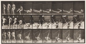 Plaka 261. Hamak İçine Girmek, 1872-1885 by Eadweard Muybridge
