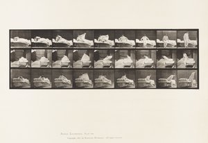 Plaka 265. Yataktan Kalkmak ve Diz Çökmeye Hazırlanmak by Eadweard Muybridge