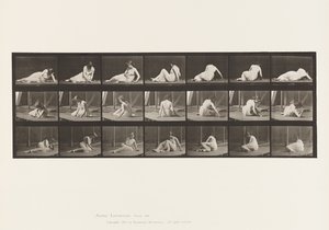 Plaka 267.Yerde Dönme ve Konum Değiştirme, 1885 by Eadweard Muybridge