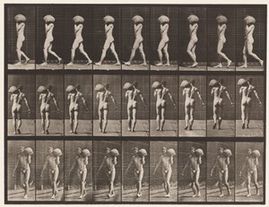 Levha 26. Yürüyüş, Sol Omuzda 75 librelik Taş Taşıma by Eadweard Muybridge