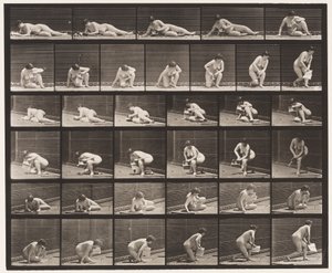 Levha 270. Sol Elinde Broşürle Yerden Yükselen by Eadweard Muybridge