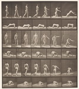 Plaka 272. Tökezleme ve Yere Düşme by Eadweard Muybridge