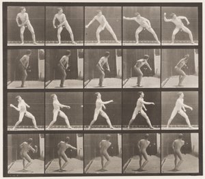 Plaka 273. Beyzbol topu; yunuslama by Eadweard Muybridge