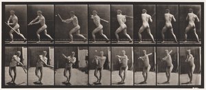 Plaka 278. Beyzbol topu; vuruş by Eadweard Muybridge