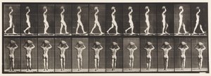 Levha 27. Yürüyüş, Kafada 70 lb. Taş Taşıma, Eller Kaldırılmış by Eadweard Muybridge