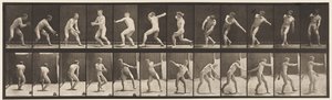 Plaka 284.Beyzbol; Yakalayıp Fırlatma, 1885 by Eadweard Muybridge