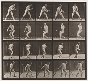 Plaka 288. Beyzbol topu; Hata by Eadweard Muybridge