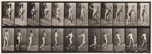 Plaka 289.Kriket; Yuvarlak Kol Bowlingi, 1885 by Eadweard Muybridge
