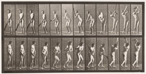 Plaka 291.Kriket; vuruş; Sürücü, 1885 by Eadweard Muybridge