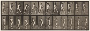 Plaka 292.Kriket; vuruş; Geri Dön, 1885 by Eadweard Muybridge