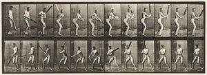 Plaka 293.Kriket; vuruş; Geri Kesim, 1885 by Eadweard Muybridge